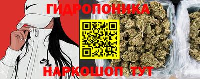 ПСИЛОЦИБИНОВЫЕ ГРИБЫ Гай