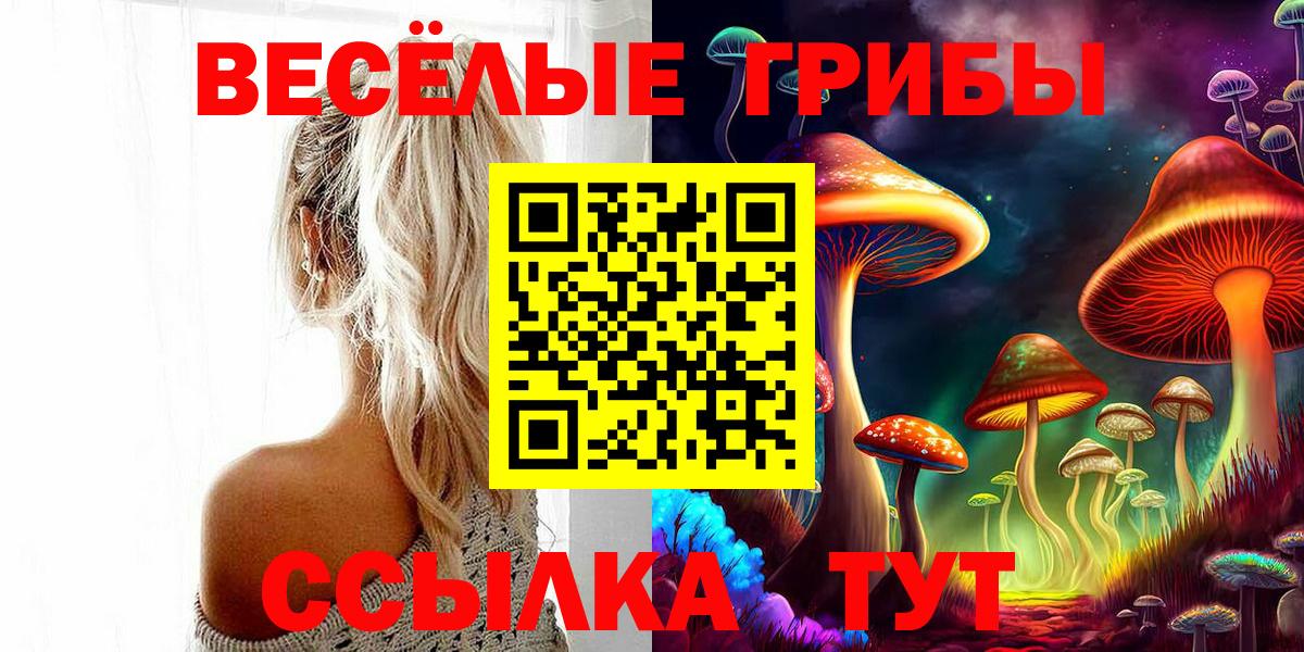 Новотроицк  Псилоцибиновые грибы Cubensis  Вход с VPN  продажа наркотиков  Псилоцибиновые грибы GOLDEN TEACHER 
