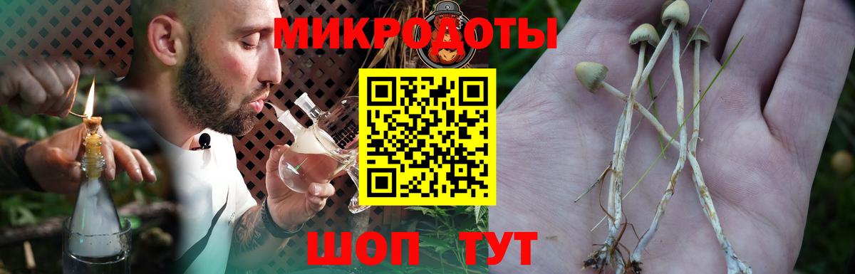Псилоцибиновые грибы Psilocybine cubensis Новотроицк