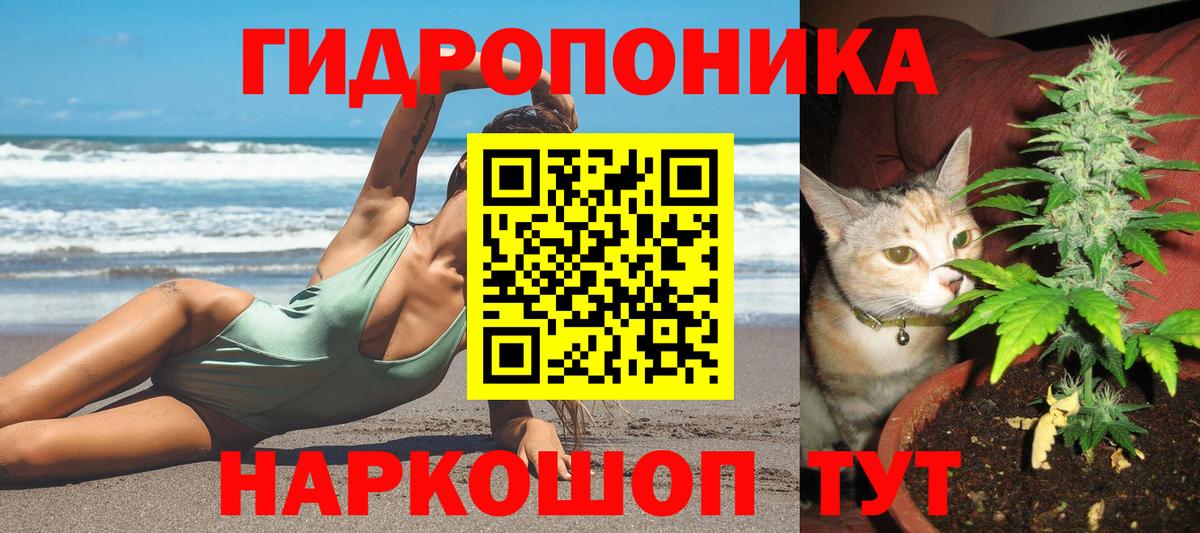 Канабис марихуана Новотроицк